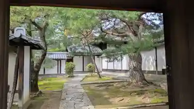 妙心寺（妙心禅寺）(京都府)