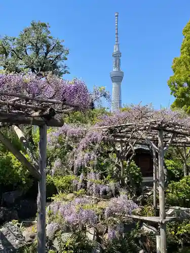 亀戸天神社(東京都)