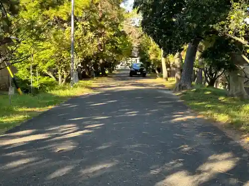 糟目犬頭神社の景色