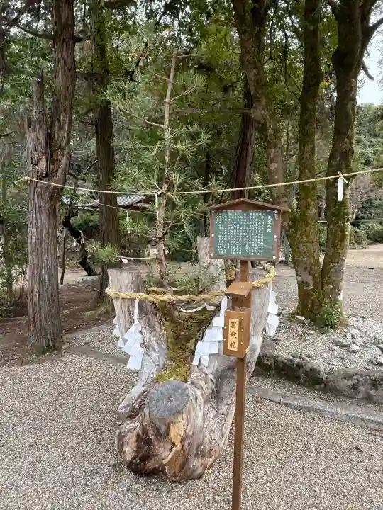 大和神社の{uncategorized: "未分類", other: "その他", undefined: "問題あり", building: "その他建物", grave: "お墓", sacred_gate: "鳥居", guardian: "狛犬", statue: "像", buddha: "仏像", history: "歴史", nature: "自然", garden: "庭園", animal: "動物", pagoda: "塔", temizu: "手水舎", mountain_gate: "山門・神門", sanctuary: "本殿・本堂", subordinate: "末社・摂社", art: "芸術", scenery: "景色", jizo: "地蔵", ema: "絵馬", goshuin: "御朱印", omikuji: "おみくじ", items: "授与品その他", amulet: "お守り", goshuincho: "御朱印帳", eats: "食事", festival: "お祭り", votive_dance: "神楽", shichigosan: "七五三参", wedding: "結婚式", experience: "体験その他", initially: "初詣", around: "周辺", anti_infection: "感染症対策"}
