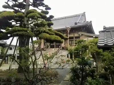 円盛寺の本殿