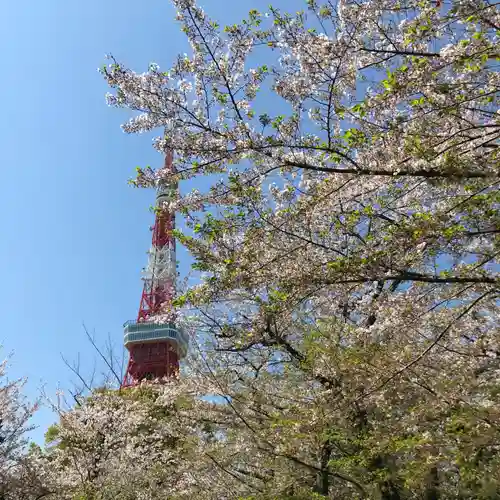 増上寺の景色