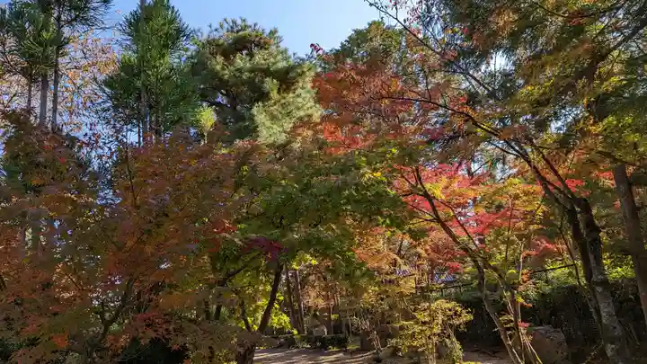 妙祐久遠寺(京都府)