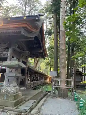 諏訪大社(長野県)