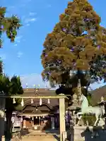 大浦神社のその他建物