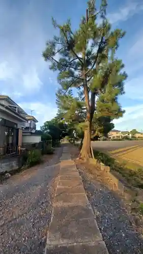 鷲宮神社(埼玉県)