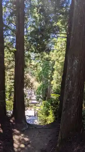 杉本神明神社の自然