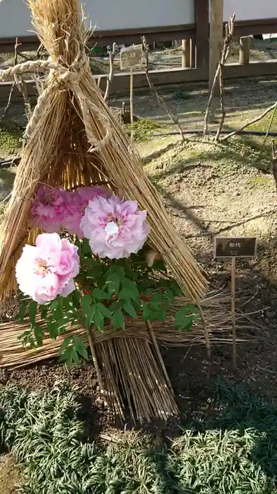 上野東照宮の自然