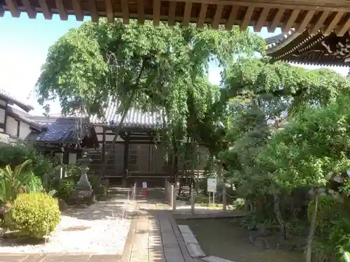 円明寺(愛知県)