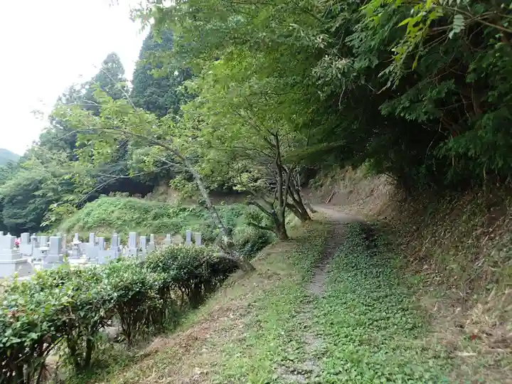 天乃石立神社の自然