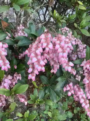 桃ノ木神社の自然