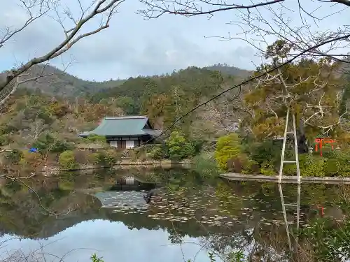 龍安寺の庭園