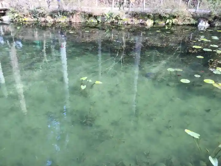 根道神社(岐阜県)
