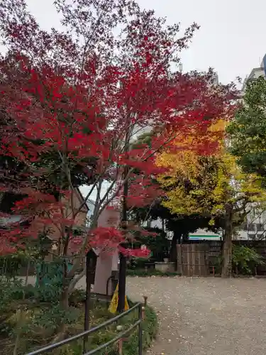 乃木神社(東京都)