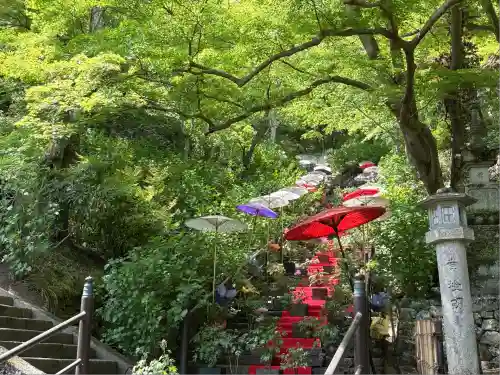長谷寺(奈良県)