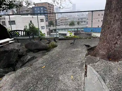 （芝生）浅間神社(神奈川県)