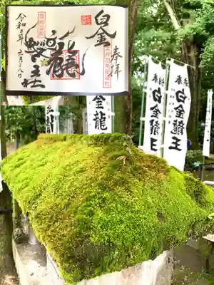 白金龍王社(愛知県)