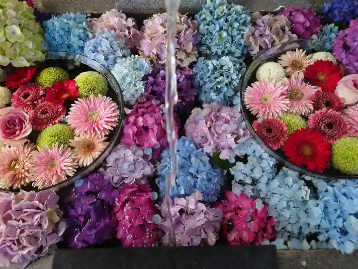 新川皇大神社の手水舎