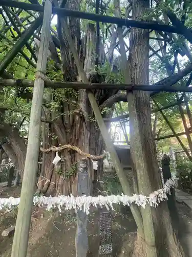 稲毛神社(神奈川県)