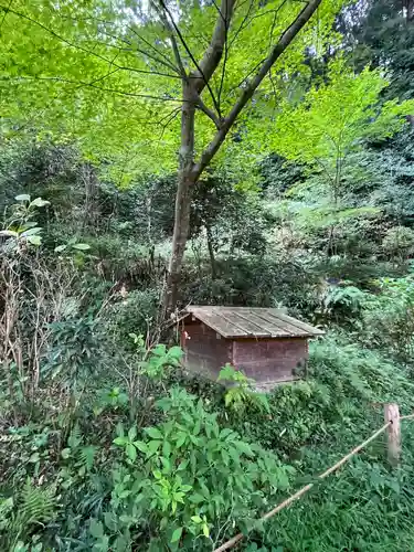 浄瑠璃寺(京都府)