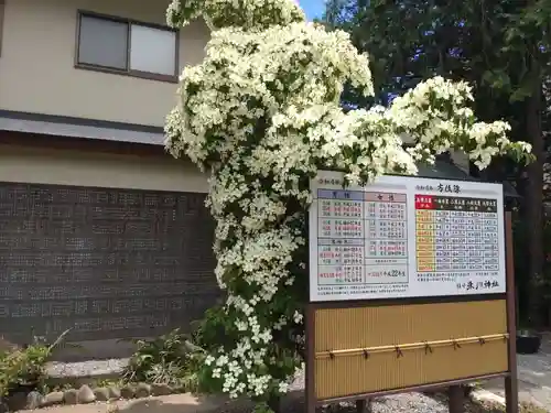 鎮守氷川神社の自然