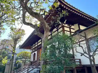 正覚院(東京都)