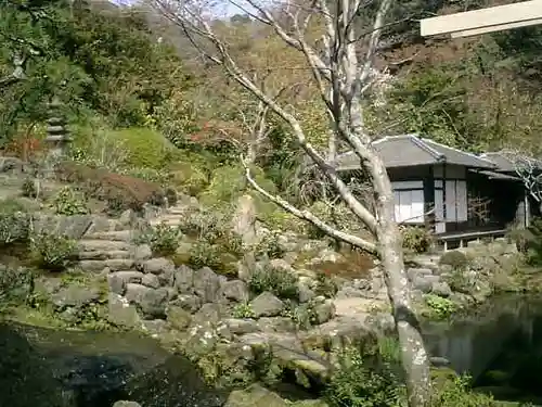 海蔵寺の庭園