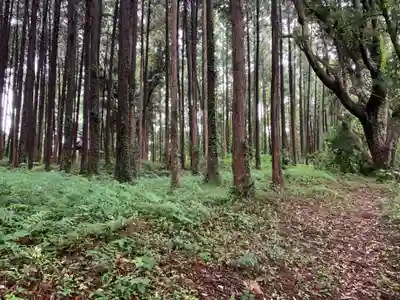星宮大神(千葉県)