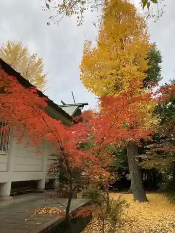 稗田神社の本殿・本堂