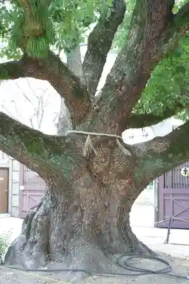 難波神社(大阪府)