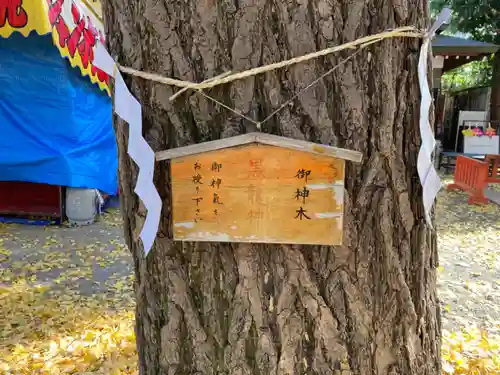 田無神社の自然