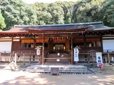 宇治上神社の本殿・本堂