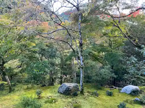 高山寺(京都府)