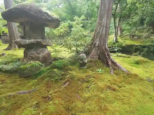 三千院門跡(京都府)