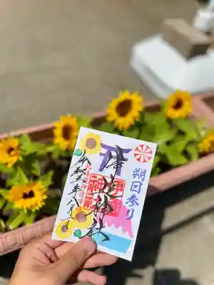 8月1日（朔日参り）限定ご朱印⛩のご案内です🍧🌻