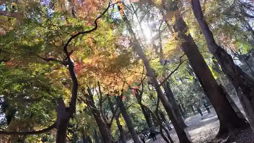 賀茂御祖神社（下鴨神社）(京都府)