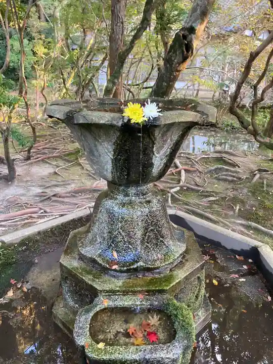 法然院の手水舎