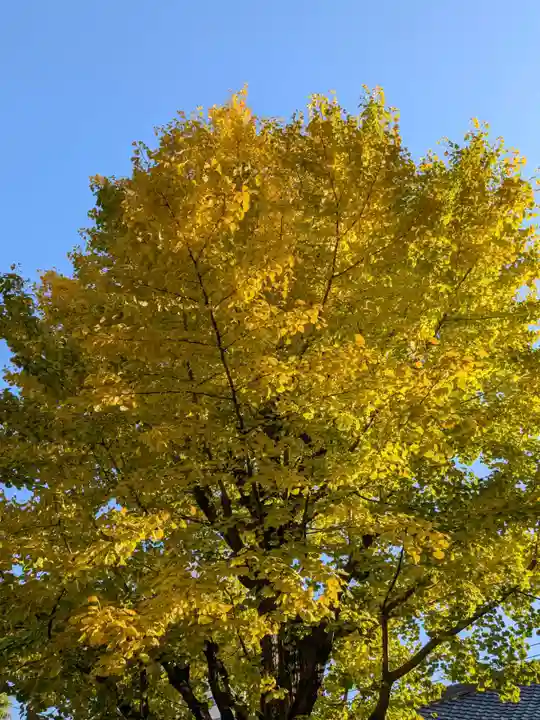 報恩寺(東京都)