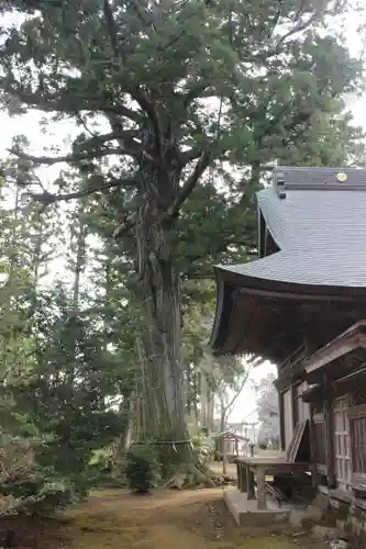 松山神社(千葉県)