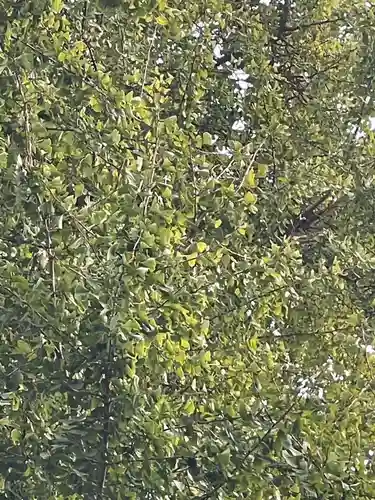 伊勢の国 四天王寺(三重県)