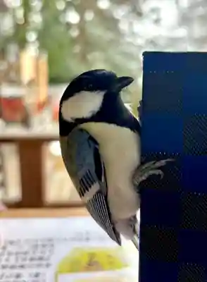 蚊里田八幡宮(長野県)