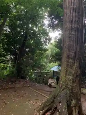 浅間神社(千葉県)