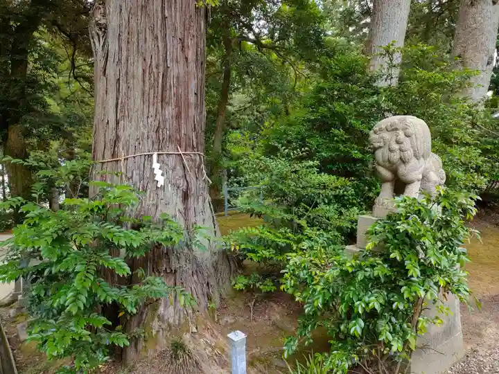 気多神社の自然
