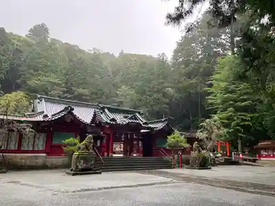 箱根神社の本殿・本堂