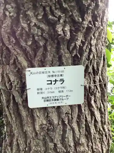 妙感寺のその他建物