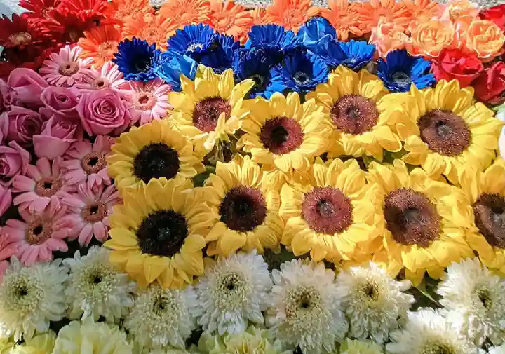 加賀屋天満宮(大阪府)