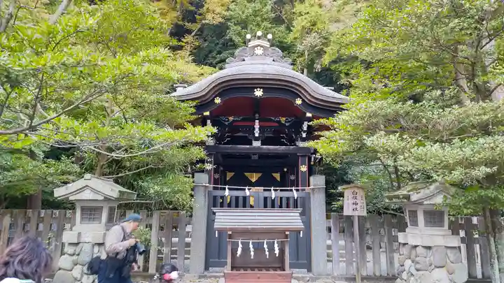 鶴岡八幡宮(神奈川県)