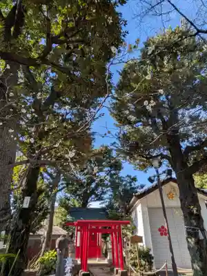 新井天神北野神社(東京都)