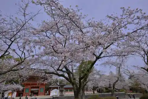 富士山本宮浅間大社(静岡県)