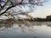 牟禮山観音禅寺の自然